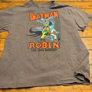 Lootwear Exclusive Batman and Robin The Teen Wonder Graphic T Shirt Mens XL Gray